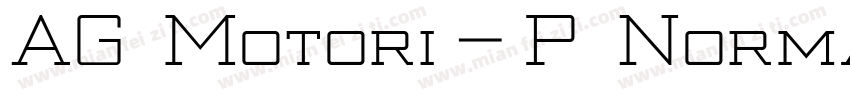 AG Motori_P Norma字体转换